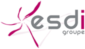 esdi esdi