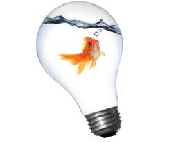boutiques innovation