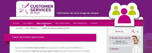 Site de Customer Services by ESDI